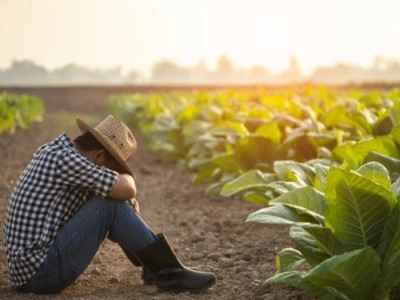 Indennità per agricoltori senza lavoro a Riardo