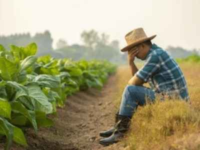 Disoccupazione Agricola a Pietravairano